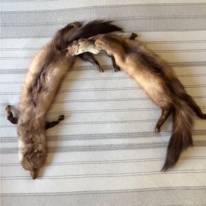 Fox Fur Vintage Neck Wrap